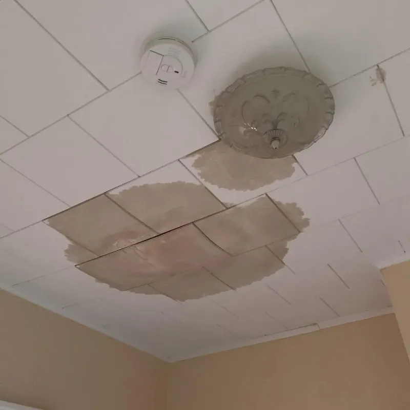Ceiling Water Damage Repair in Frankfort, ME