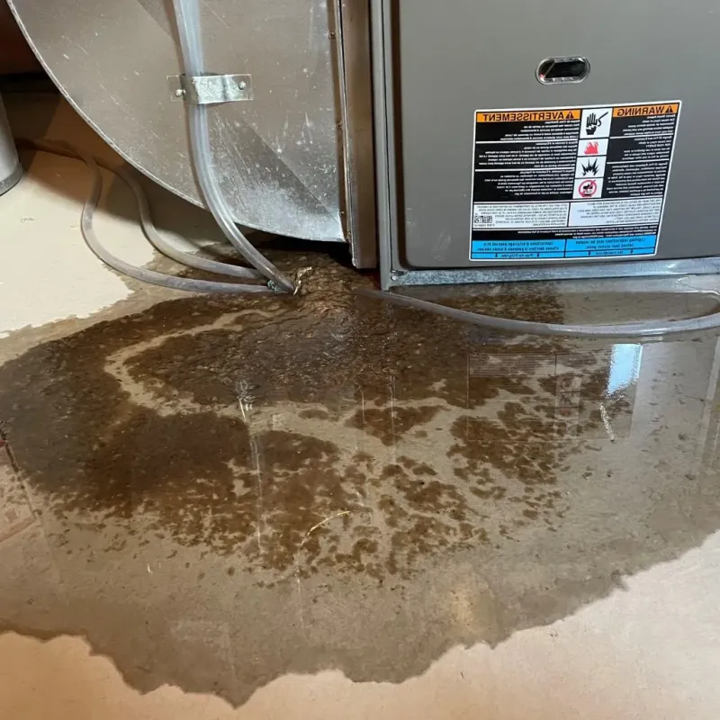 Pipe Burst and Leak Restoration in Frankfort, ME