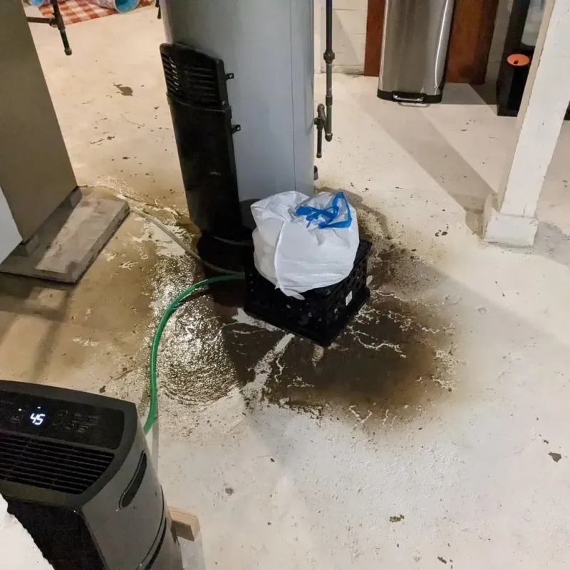 Sewage Backup Cleanup Service in Frankfort, ME